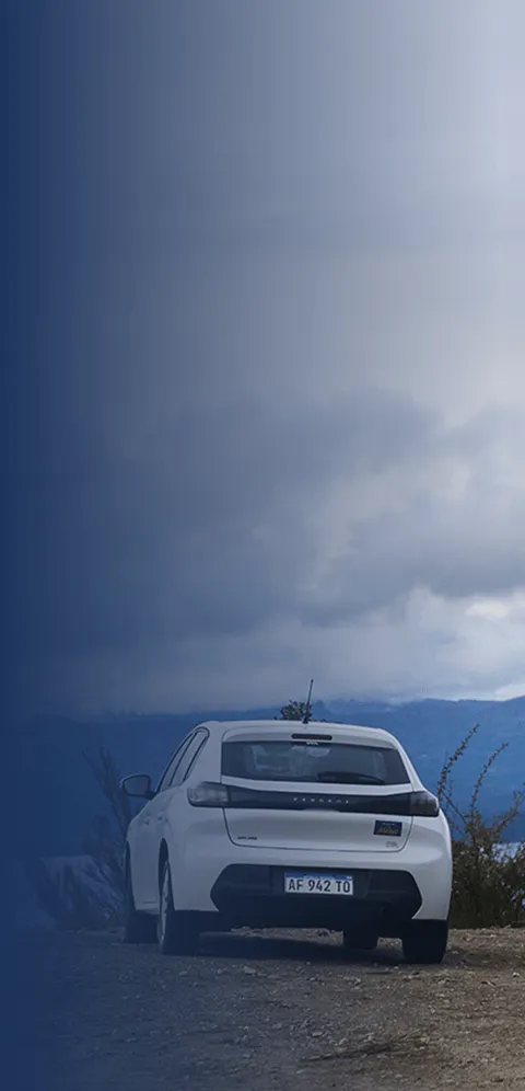 Fondo Contacto Movil